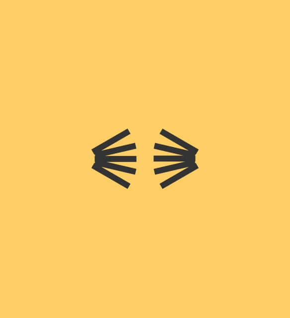Voice